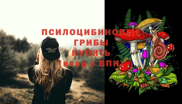 ПСИЛОЦИБИНОВЫЕ ГРИБЫ Бородино